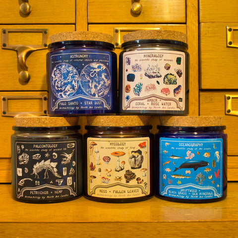 North Avenue Aromachology Candles