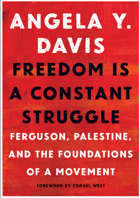 Freedom Is a Constant Struggle: Ferguson, Palestine, and the Foundations of a Movement